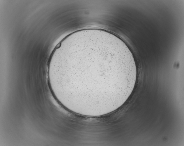 X0000112921476200910051056