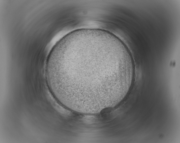 X0000112921477200910051056