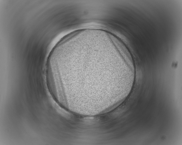 X0000112921478200910051056