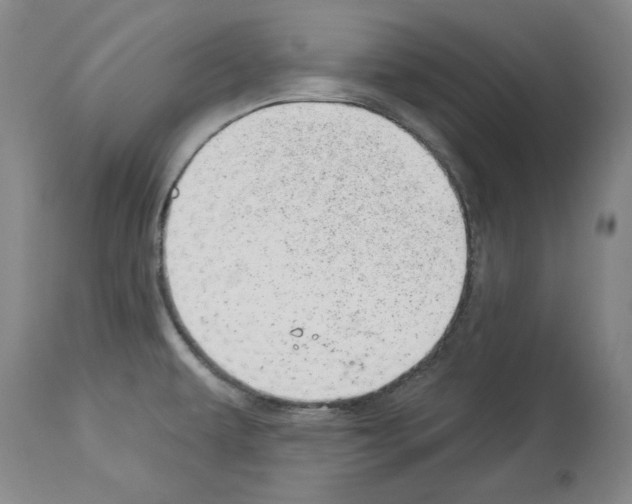 X0000112921479200910051056