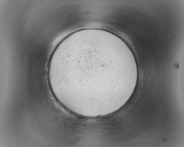 X0000112921480200910051056