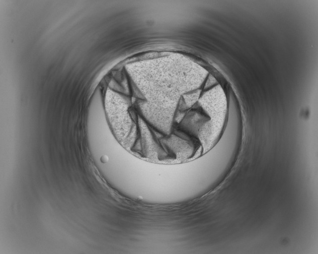 X0000112921481200910051056