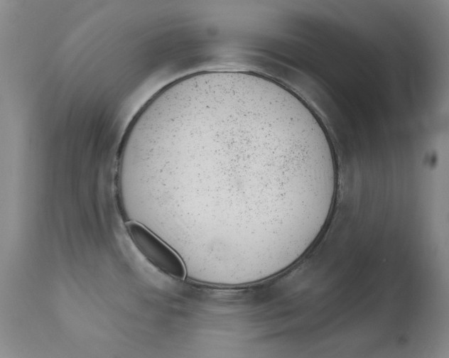 X0000112921484200910051056