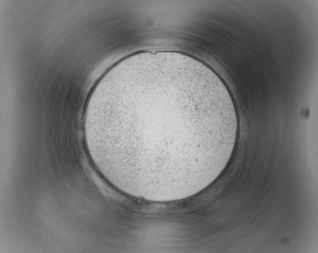 X0000112921485200910051056