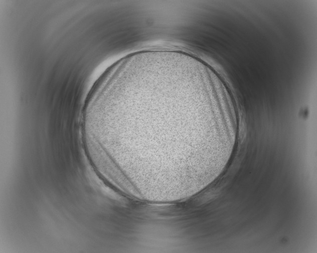 X0000112921486200910051056