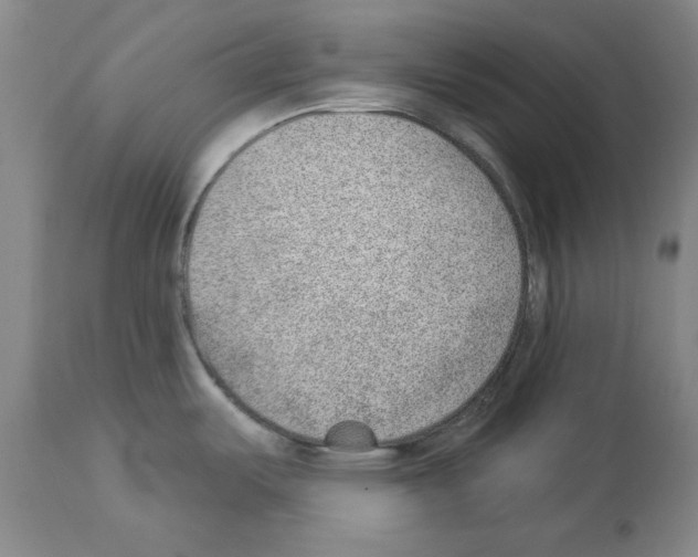 X0000112921487200910051056