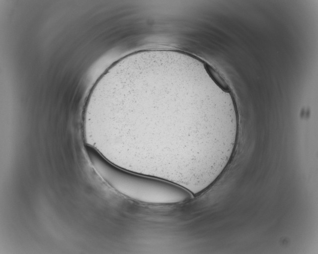 X0000112921488200910051056