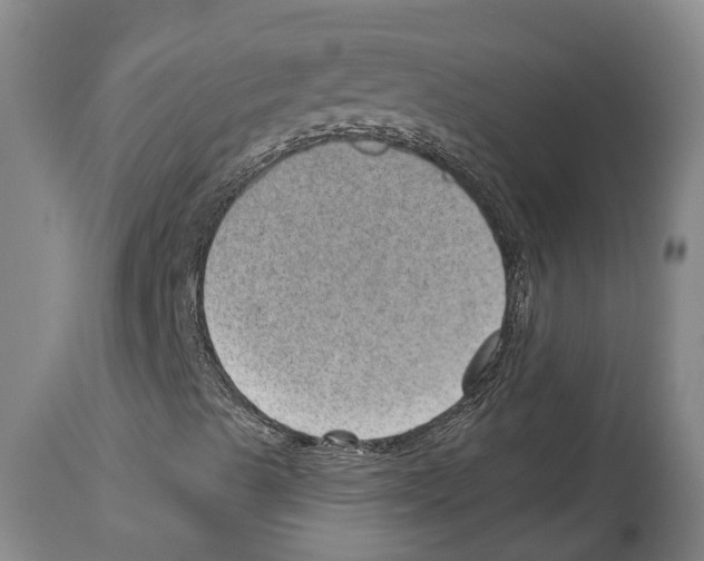 X0000112921489200910051055