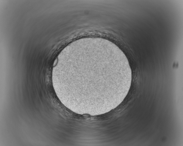 X0000112921490200910051055