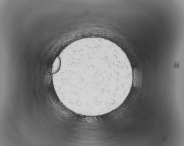 X0000112921491200910051055