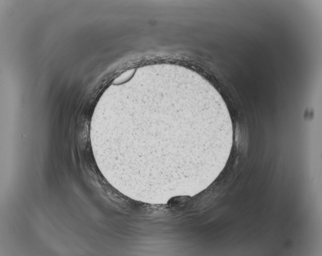 X0000112921492200910051055