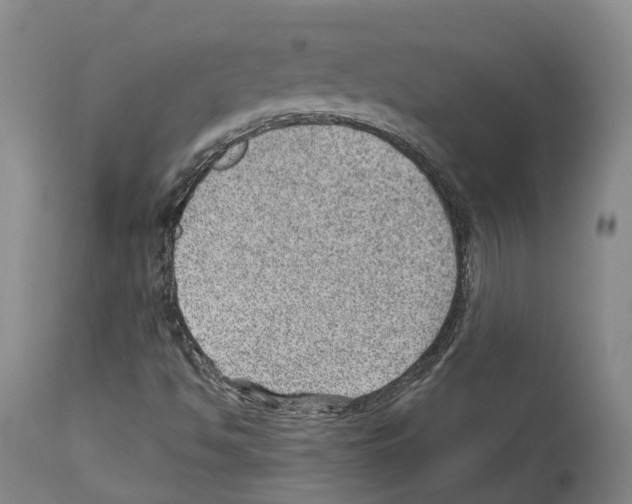 X0000112921494200910051055