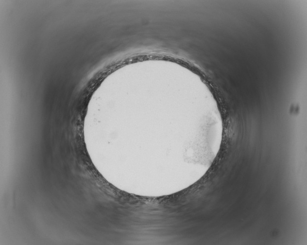 X0000112921495200910051055