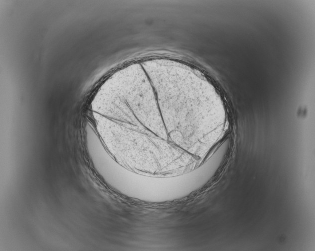 X0000112921496200910051055