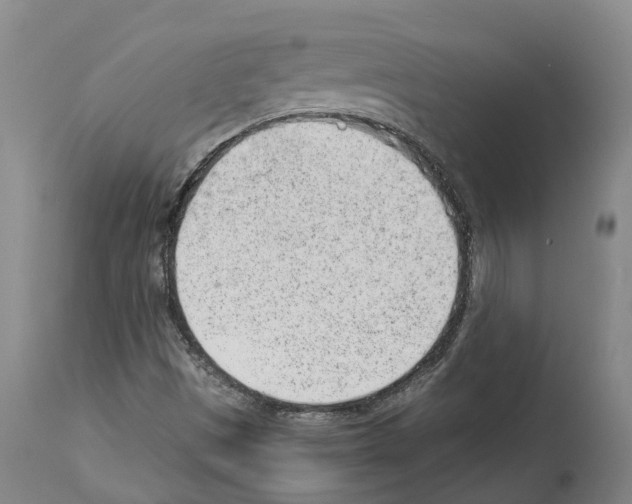 X0000112921497200910051055