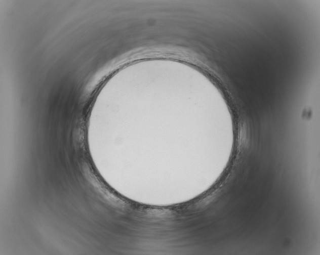 X0000112921498200910051055