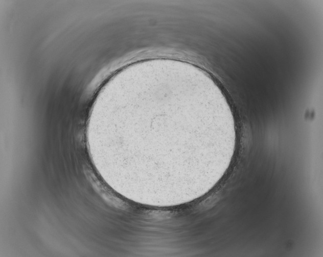 X0000112921499200910051055