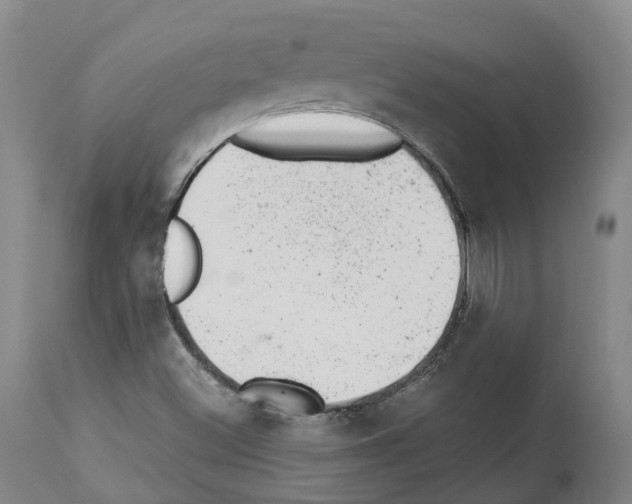 X0000112921500200910051055