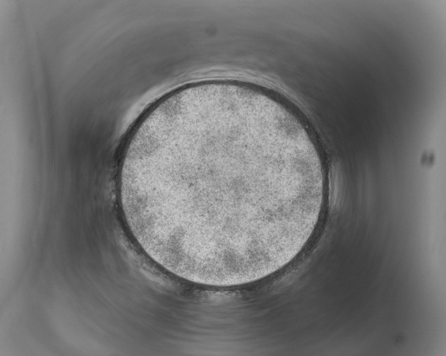X0000112921501200910051055