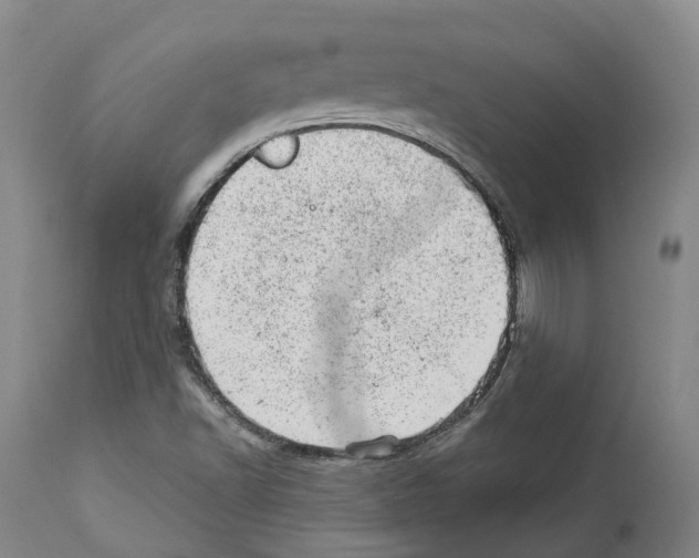 X0000112921502200910051055