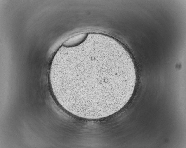 X0000112921504200910051055