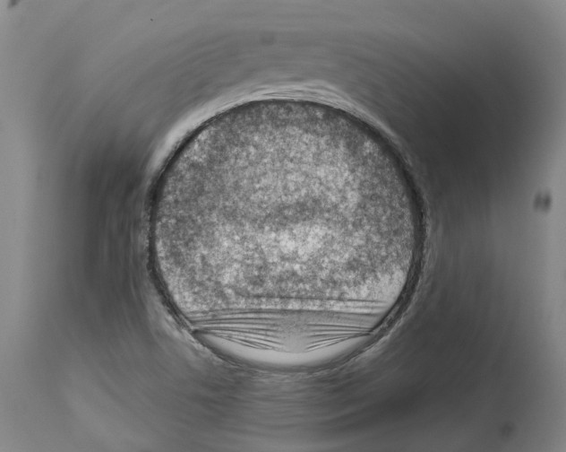 X0000112921506200910051055