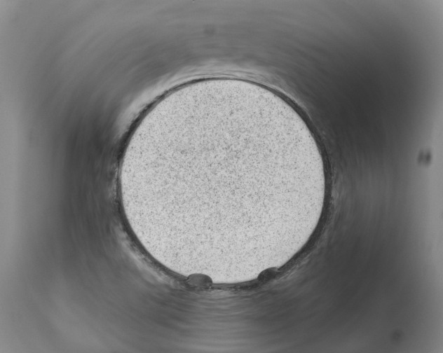 X0000112921507200910051055