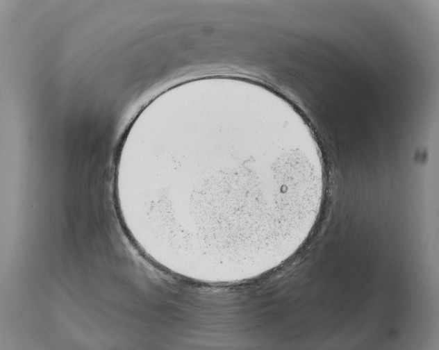 X0000112921508200910051055