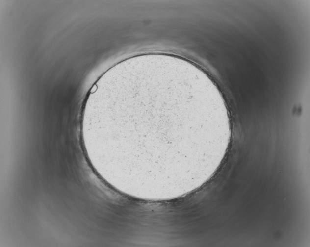 X0000112921512200910051055