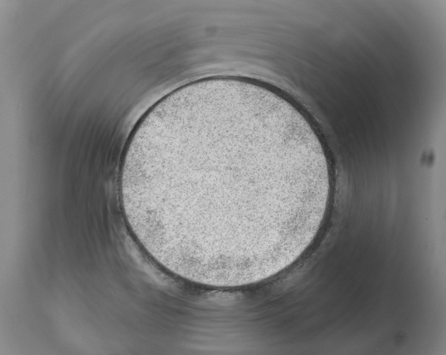 X0000112921513200910051055