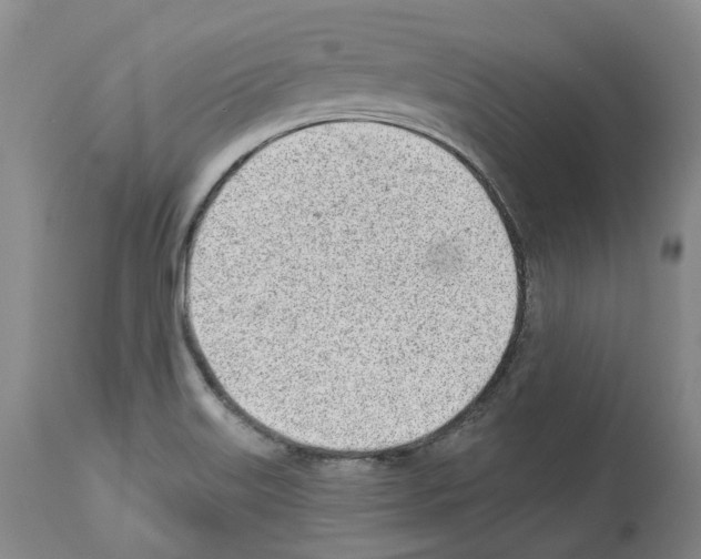 X0000112921515200910051055