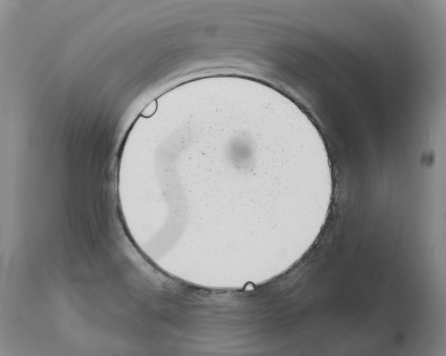 X0000112921516200910051055