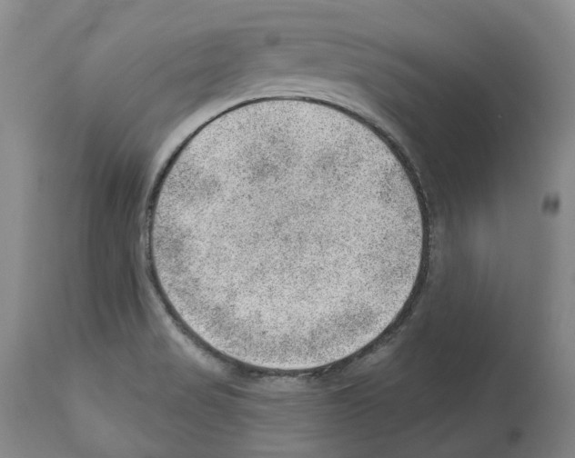 X0000112921517200910051055
