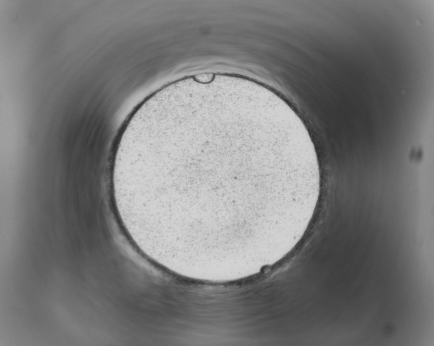 X0000112921518200910051055