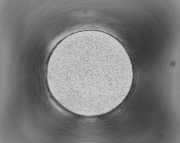 X0000112921519200910051055