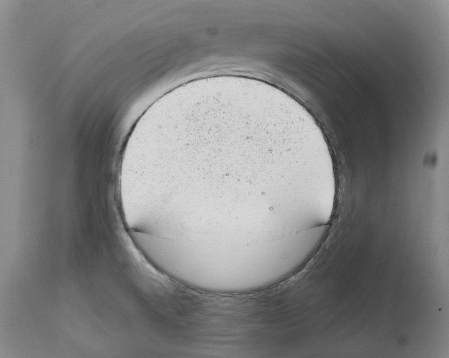 X0000112921520200910051055