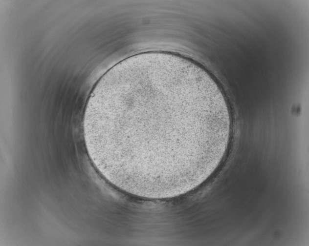 X0000112921521200910051055