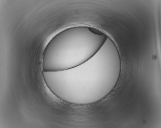 X0000112921524200910051055