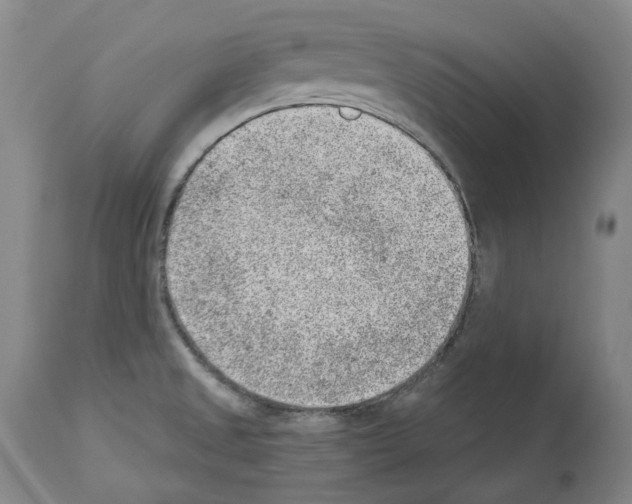 X0000112921525200910051056