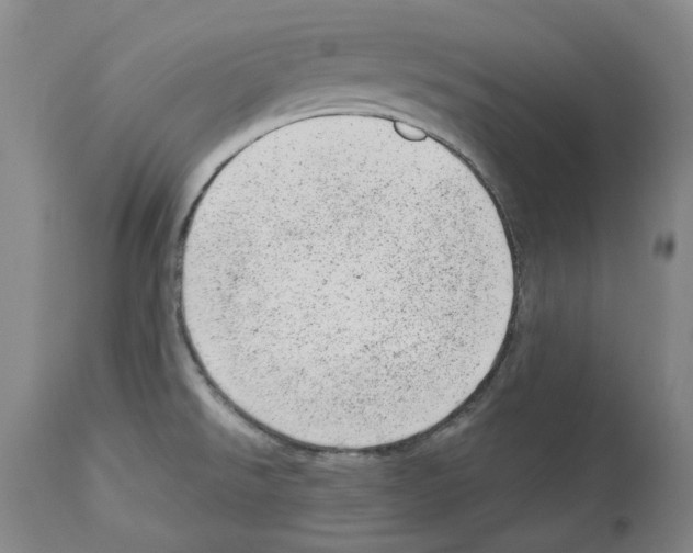 X0000112921526200910051056