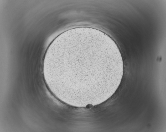 X0000112921527200910051056