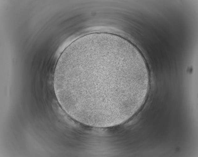 X0000112921529200910051056