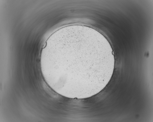 X0000112921532200910051056