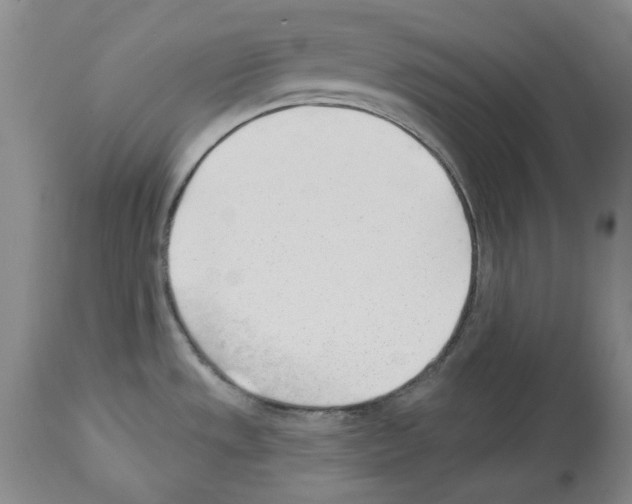 X0000112921533200910051056