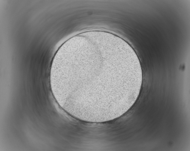 X0000112921534200910051056