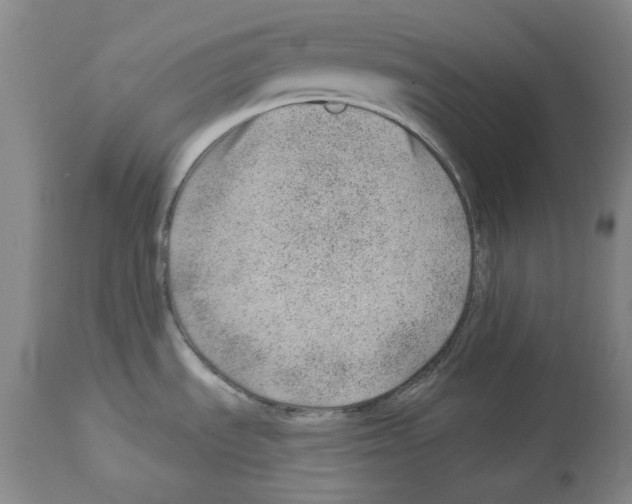 X0000112921535200910051056