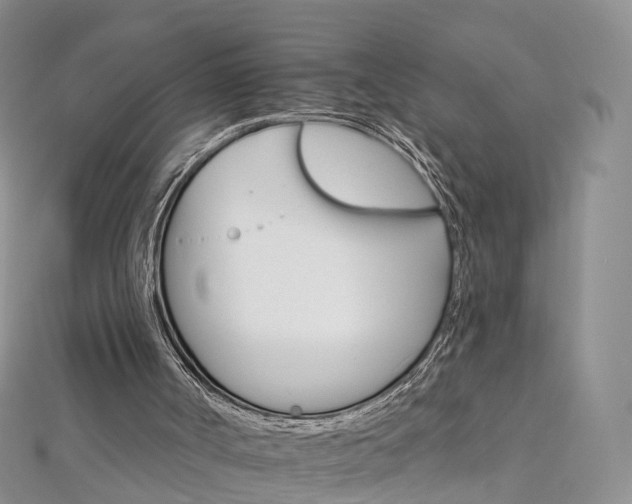 X0000112930002200908241104