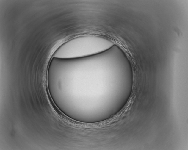 X0000112930003200908241104