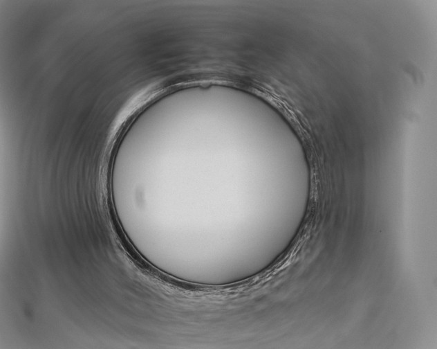 X0000112930004200908241104