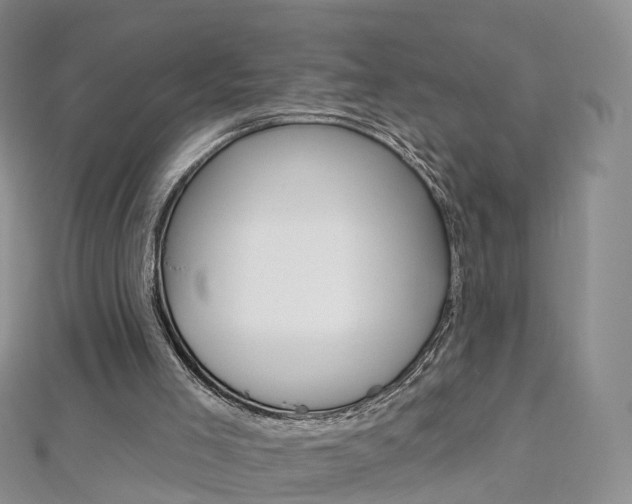 X0000112930005200908241104